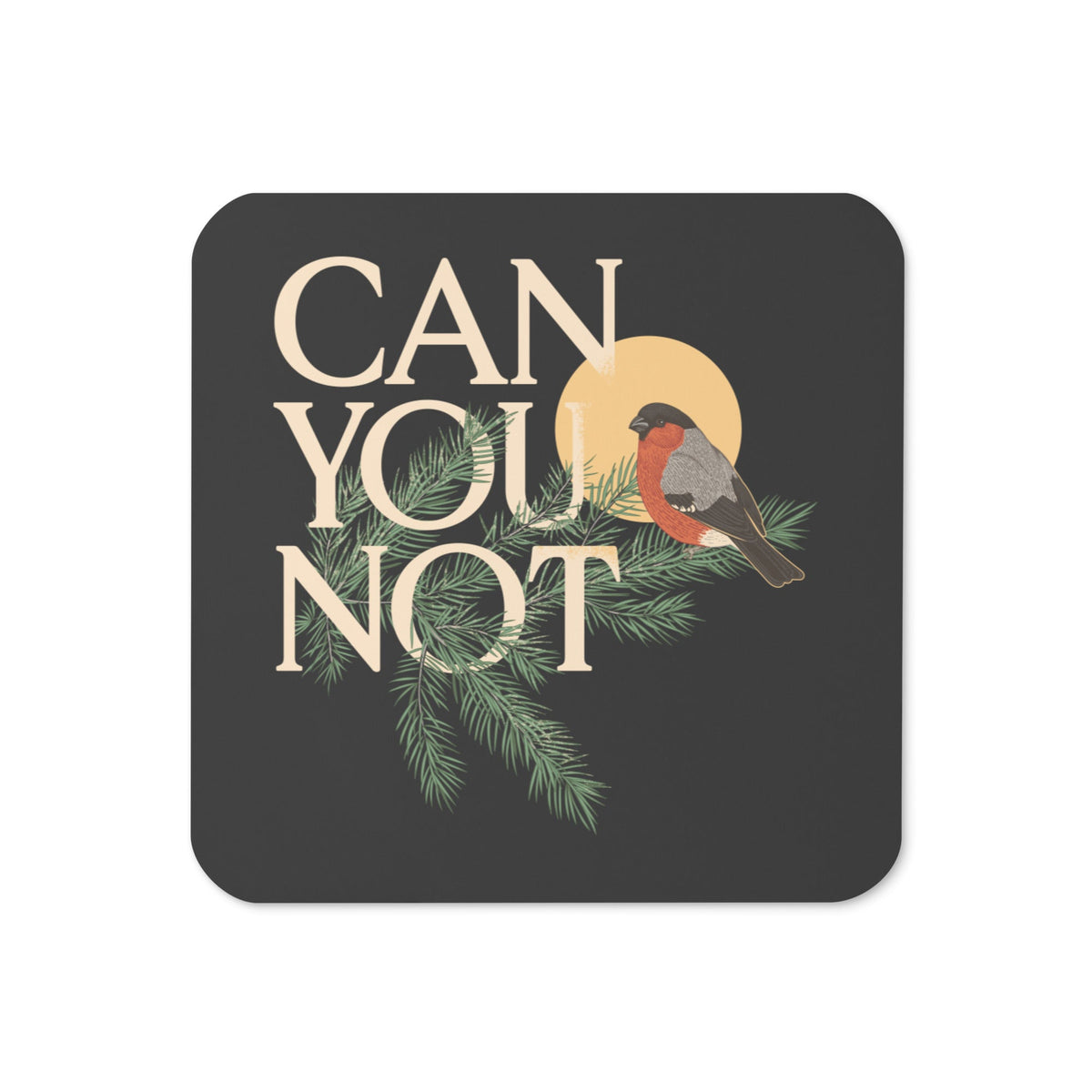 Can You Not Coaster