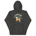Centaur Of Attention Unisex Hoodie product image 1