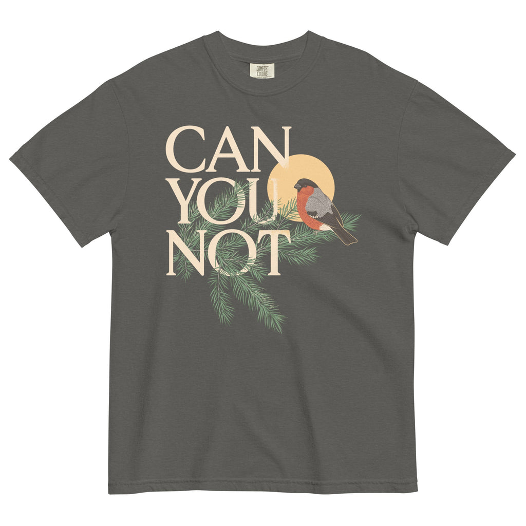 Can You Not Men's Relaxed Fit Tee product image 1