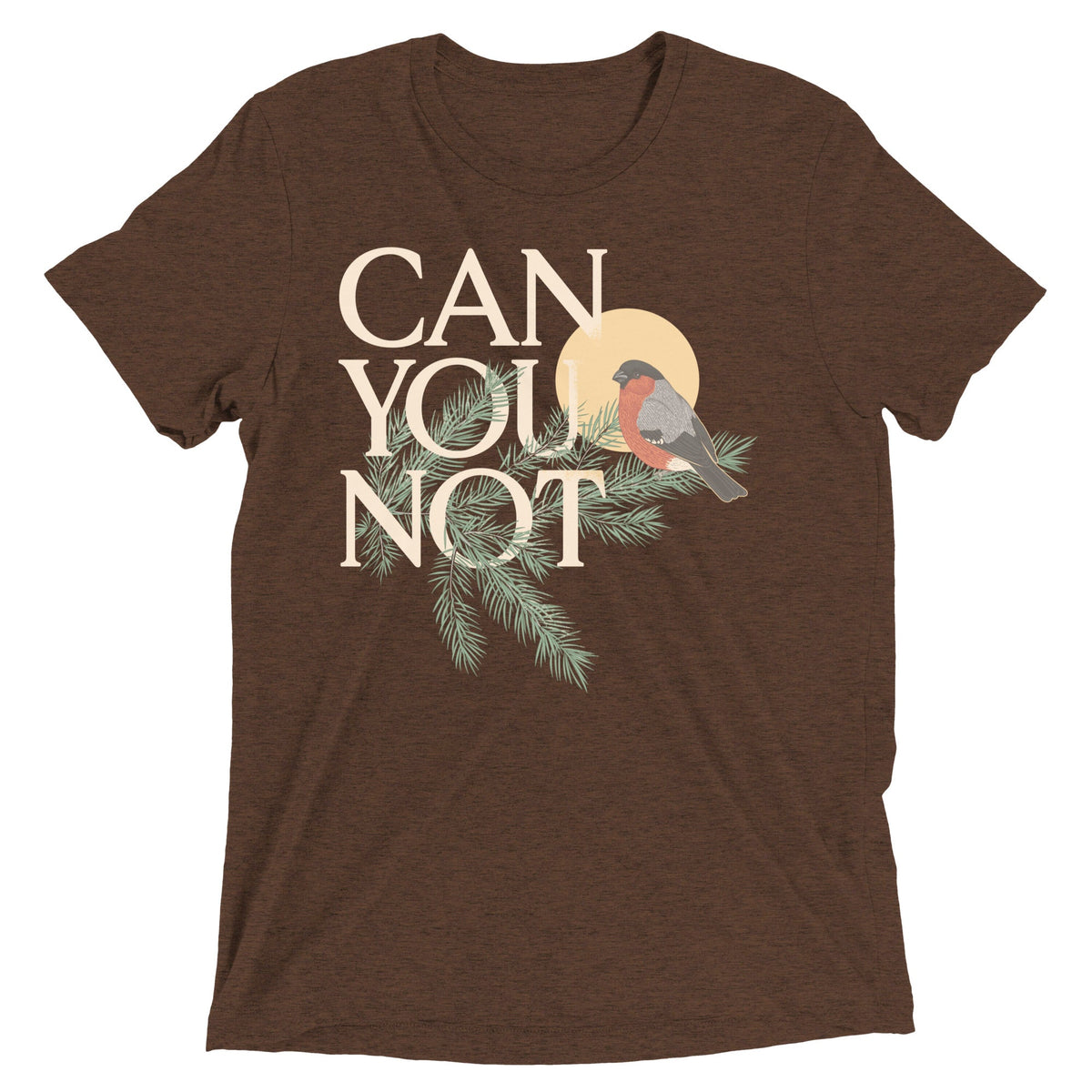 Can You Not Men's Tri-Blend Tee product image 3