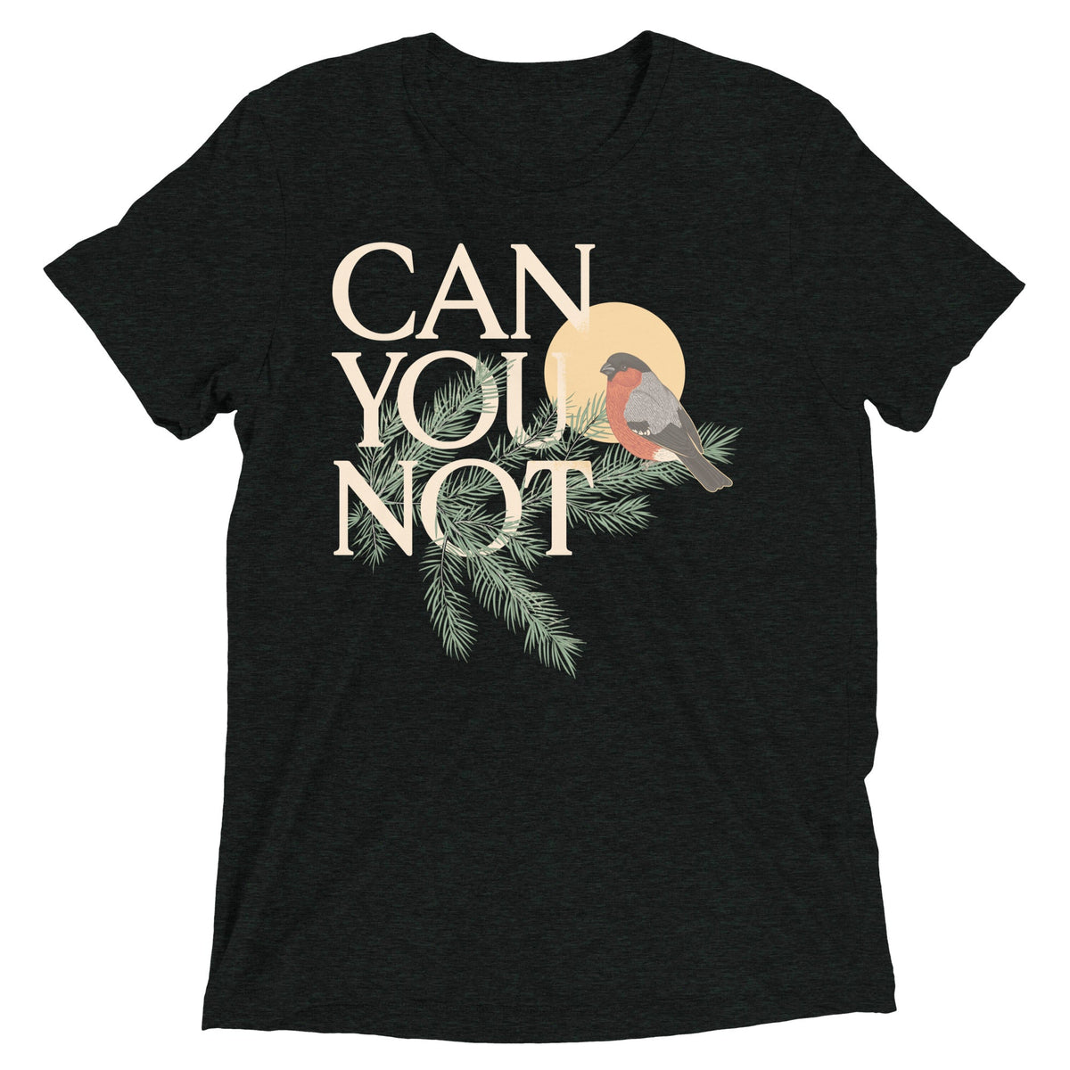 Can You Not Men's Tri-Blend Tee product image 1