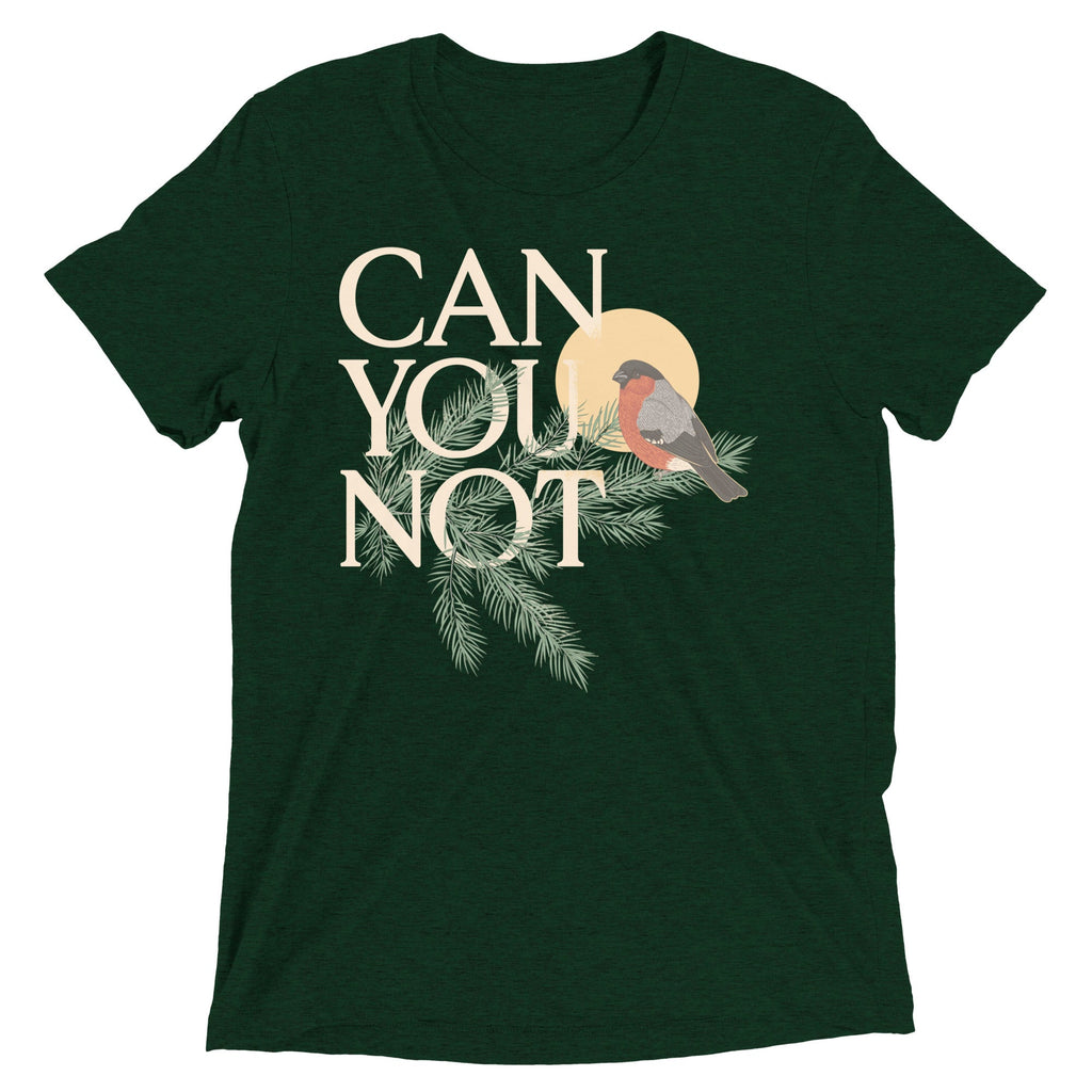 Can You Not Men's Tri-Blend Tee product image 2