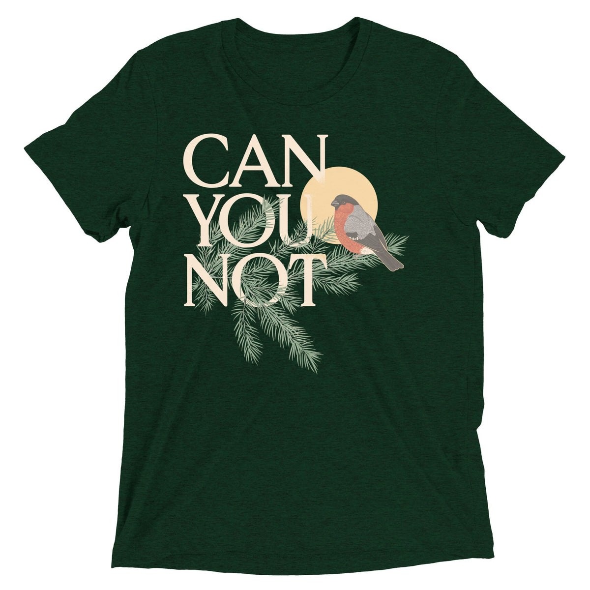 Can You Not Men's Tri-Blend Tee product image 2