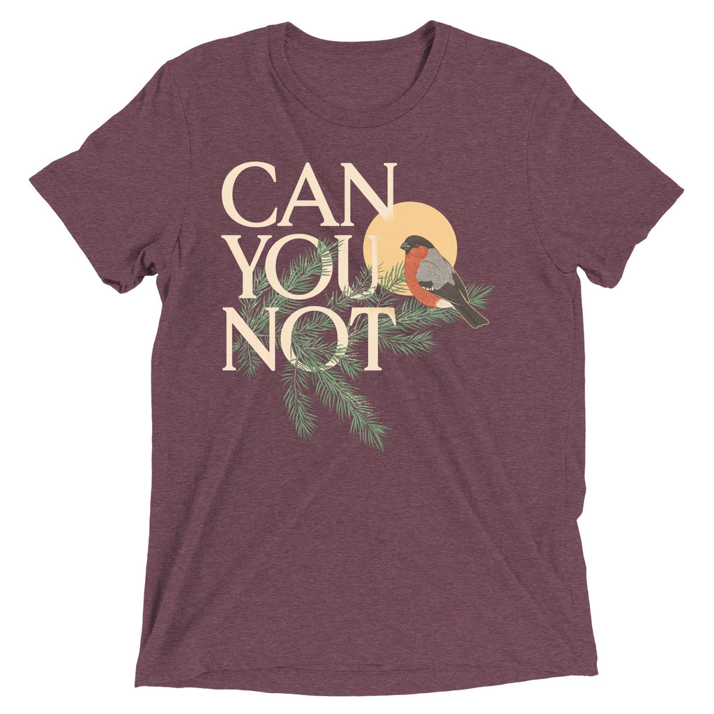 Can You Not Men's Tri-Blend Tee product image 6