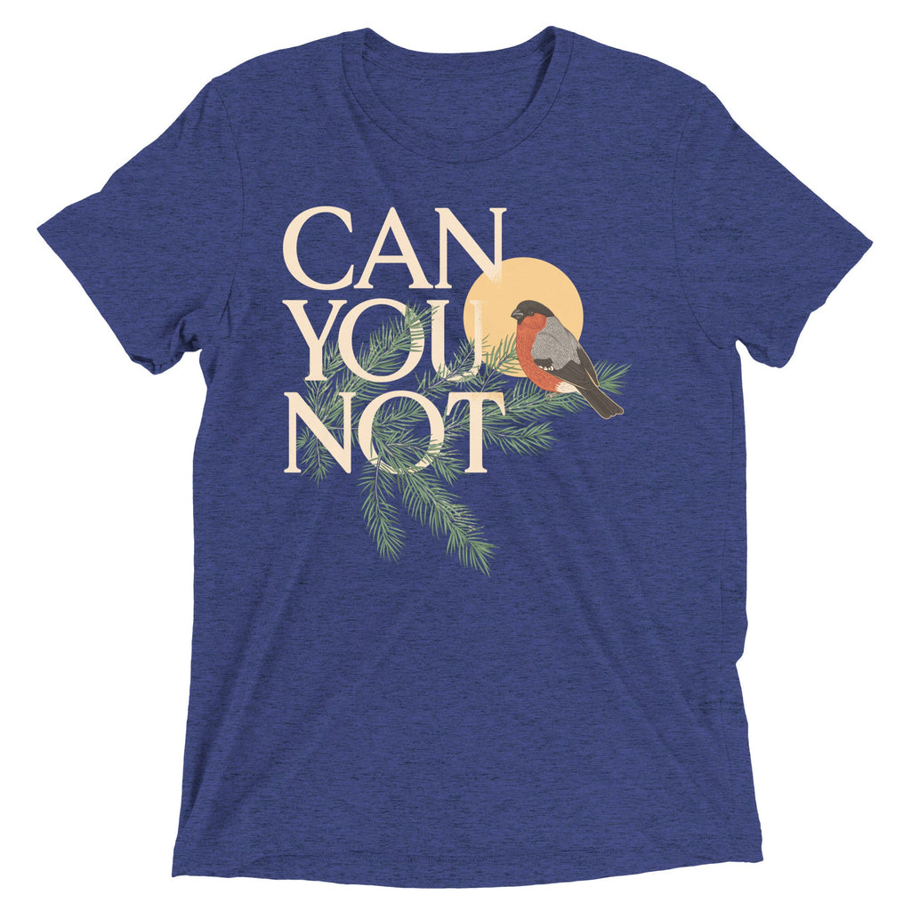Can You Not Men's Tri-Blend Tee product image 5