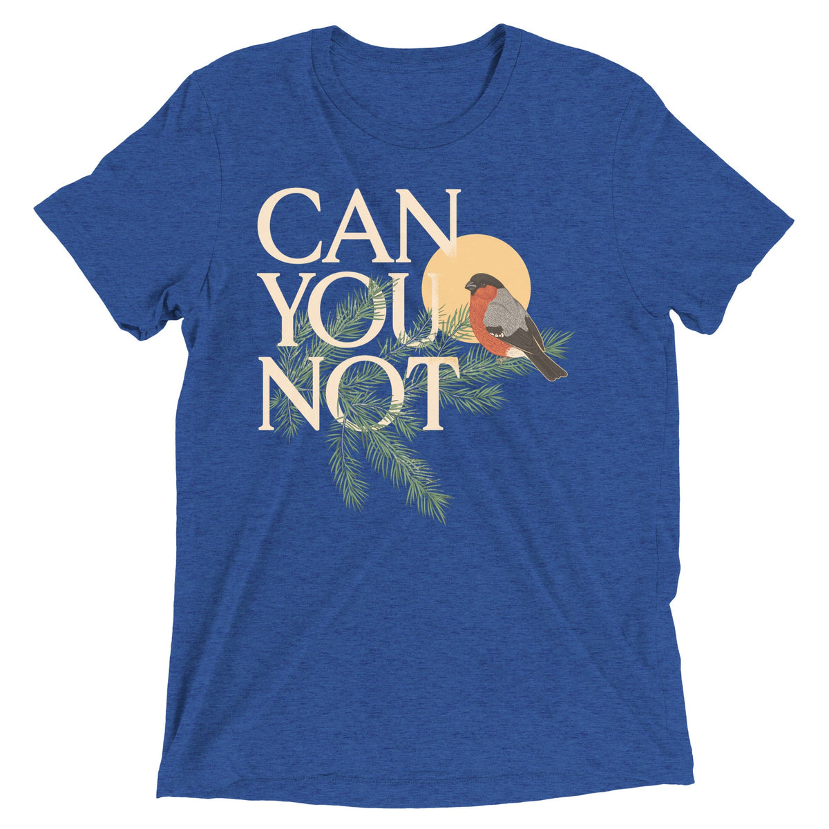 Can You Not Men's Tri-Blend Tee product image 4