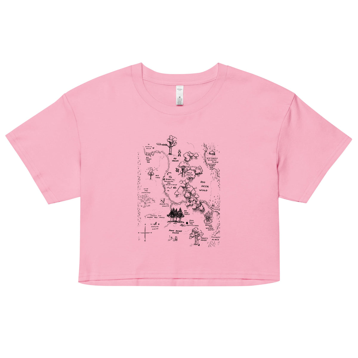 100 Acre Map Women's Crop Tee product image 3