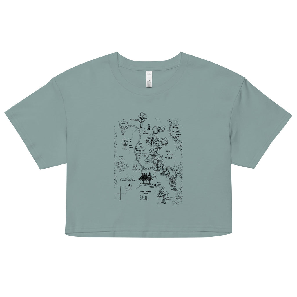 100 Acre Map Women's Crop Tee product image 1