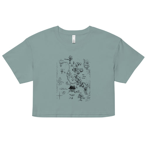 100 Acre Map Women's Crop Tee product image 1